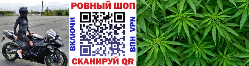 Купить закладку Стародуб mega ССЫЛКА  МЕФ  АМФ  Гашиш  APVP 