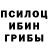 Галлюциногенные грибы GOLDEN TEACHER hi mahal