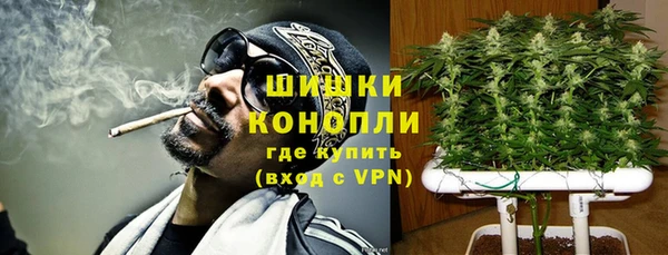 PSILOCYBIN Балахна