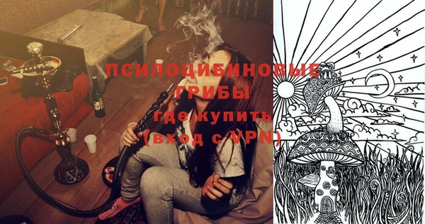 PSILOCYBIN Балахна