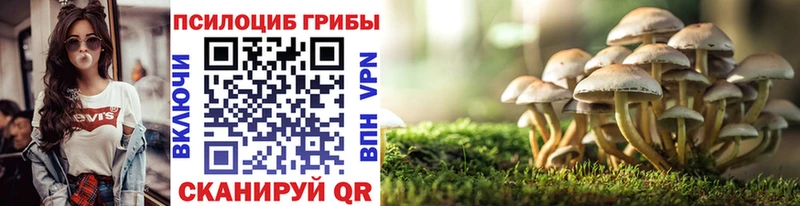 Псилоцибиновые грибы мицелий  где продают наркотики  Стародуб 